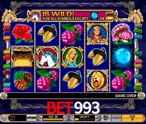 Descubra o Mundo do Cassino Online com bet993